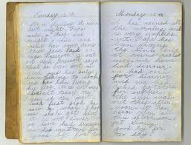 Whitman becomes a full time journalist