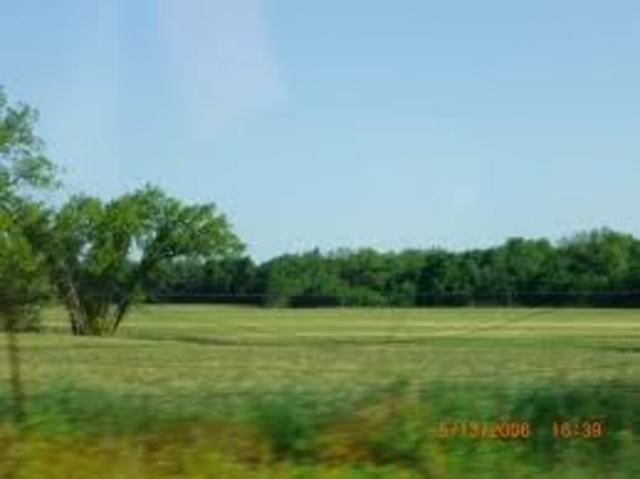 Mario gets good land out of the Run