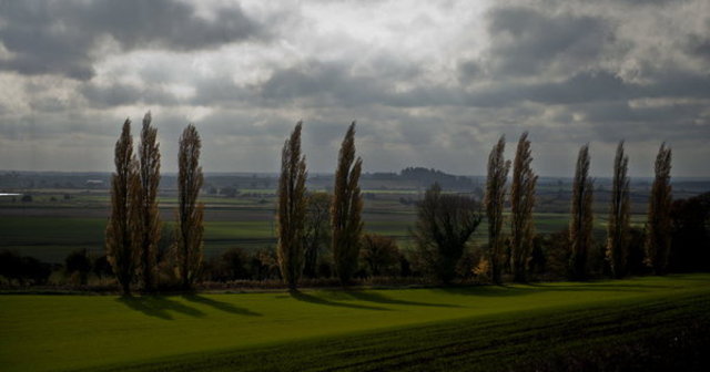 Pilgrims moved to Netherlands.