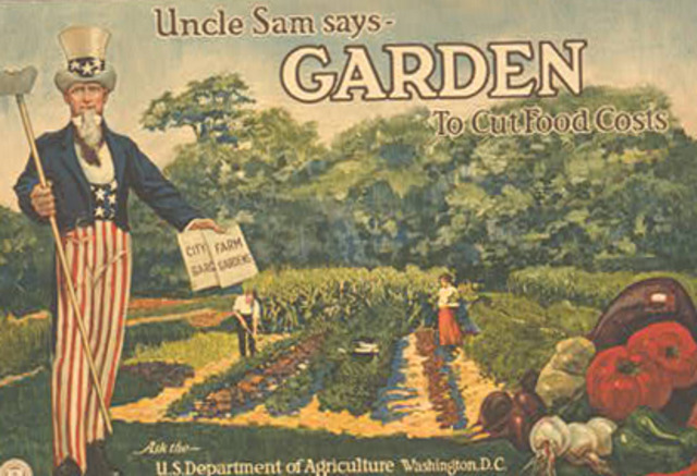 Victory Gardens