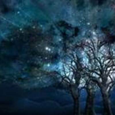 Timeline: Adolf Klein Time Line