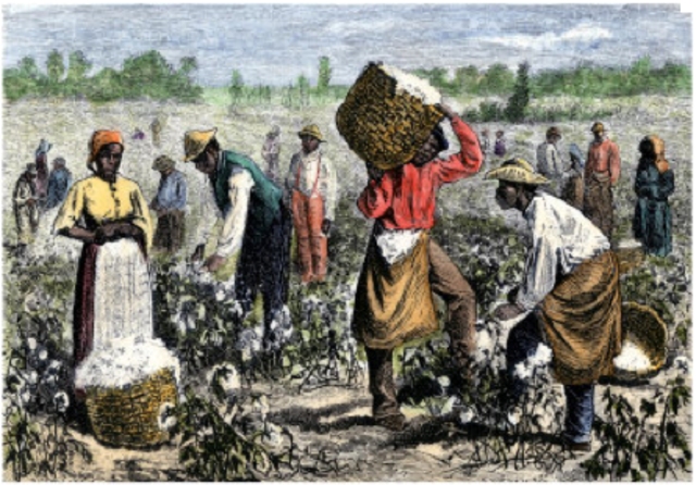 Enslaved Africans became the main source of labor.