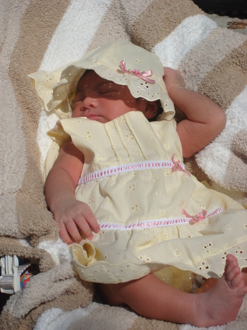 My Last Baby Sibling