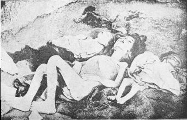 Armenian Genocide (unknown date)