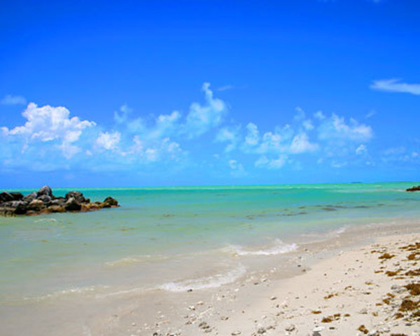 Mi familia viajamos a Florida
