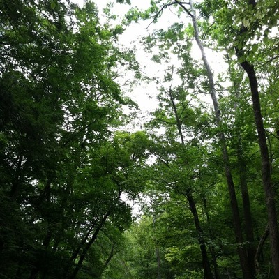 Timeline: Autobiography