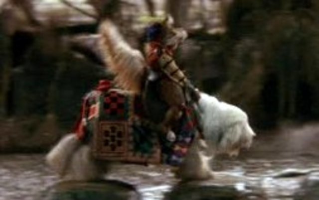 Meet Sir didymus and Ambrosious in the Eternal Stench