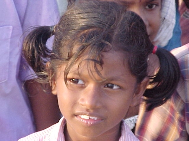 AIPN Annual Report Published