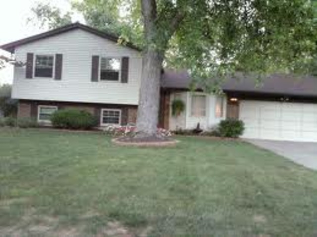 Robert Stanley Dyrdek