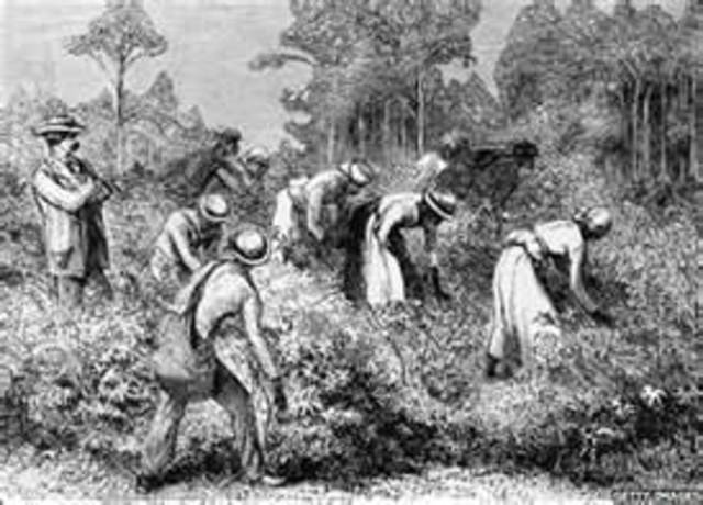 Beginning of Slavery in Jamestown