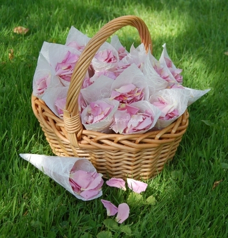 was the flower girl for my cousins wedding