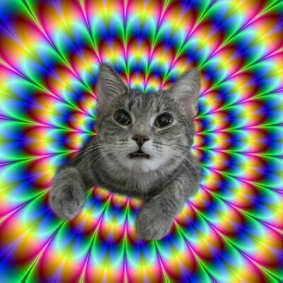 Timeline: My Life-3rd Period