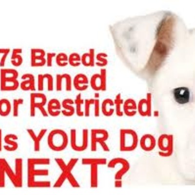Timeline: Breed bans