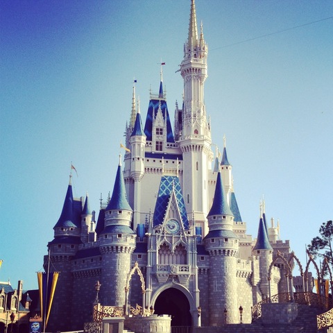 Became SCUBA Certified and went to Disney