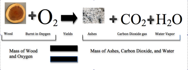 Law of Conservation of Mass