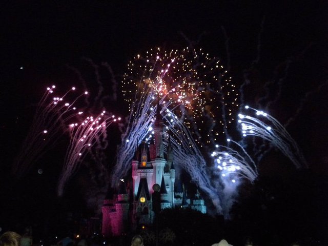 Visitando Disney World