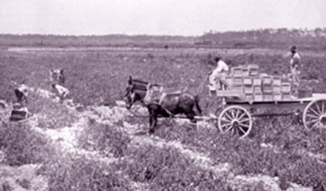 Agricultural changes