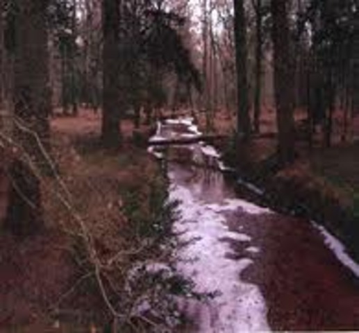 Chapter 13 Not At Home