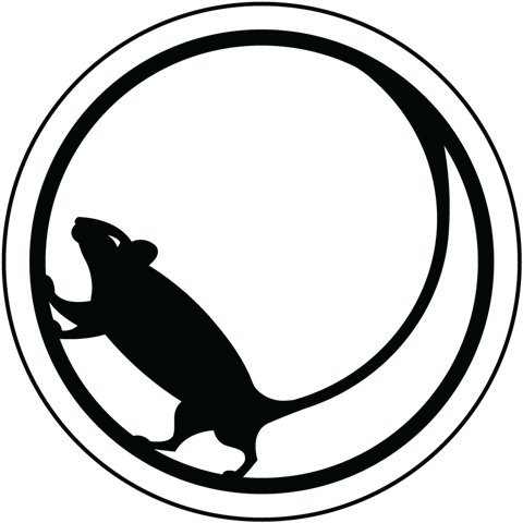 Recibimos Un Regalo.