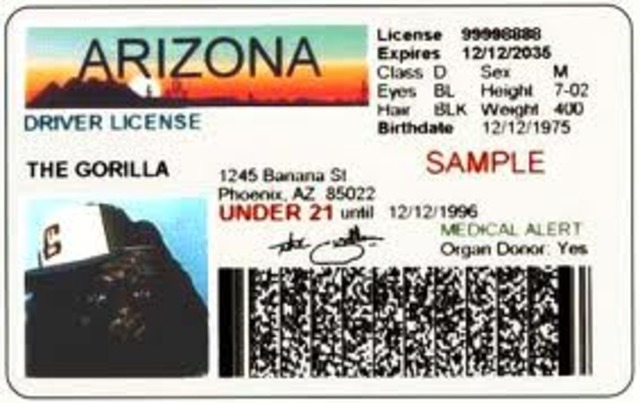 I get my drivers license