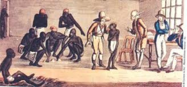 fundação da Companhia Geral de Comércio do Grão-Pará e Maranhão