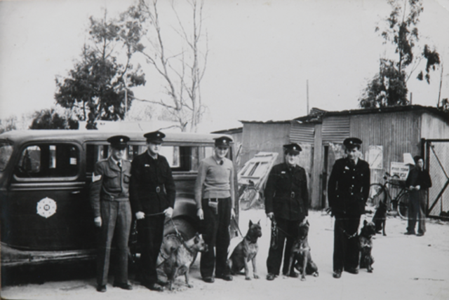 יצחק שמיר נעצר לראשונה