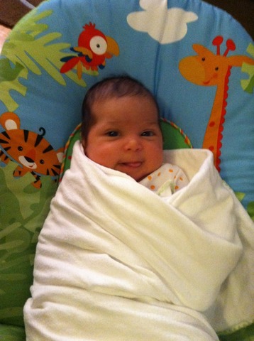 Luca Sofia was Born !