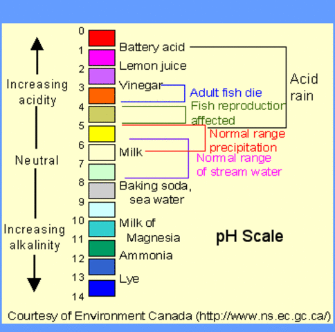 Ph Scale