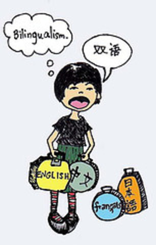 Continuity of the inmersion programs...