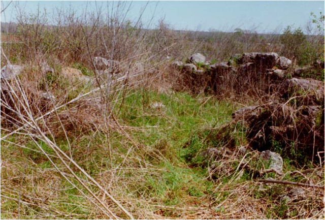 Ruins of Rosario mission, established in 1754 and abandoned in 1807.