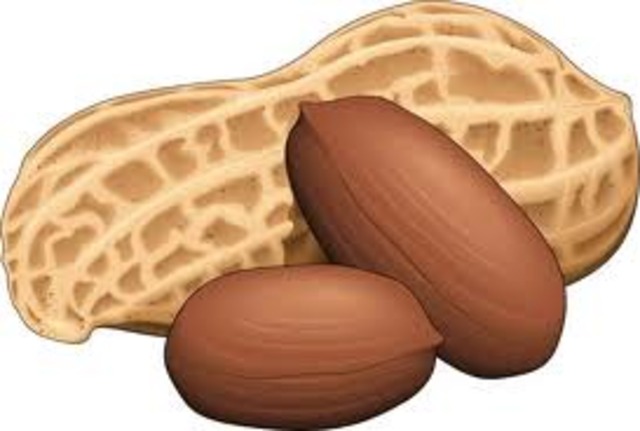 First time I had peanut butter.