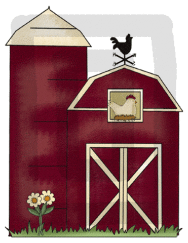 Birthday Decorations