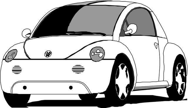 Recieved My Driver's Permit