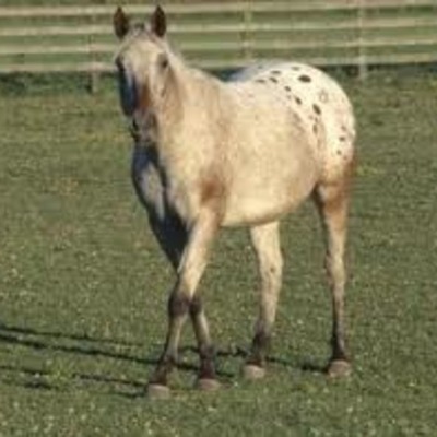 Timeline: cars and more