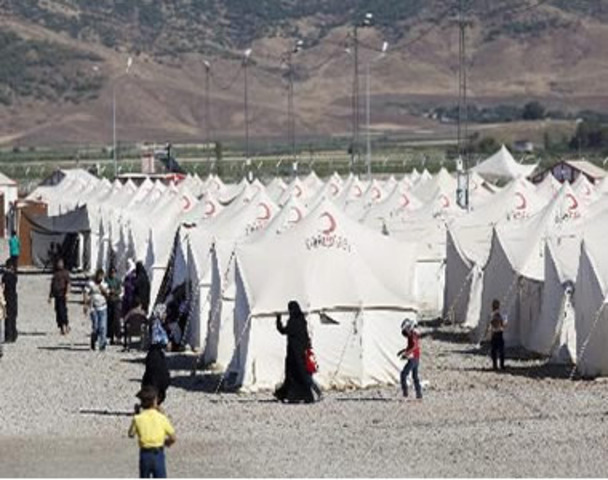 Os campos e suas consequências