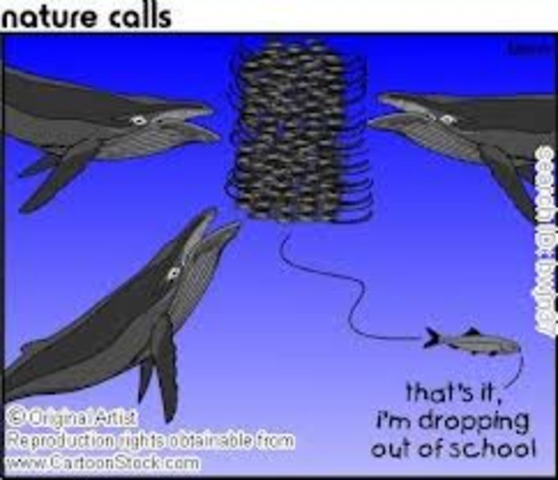 Dropped out of college