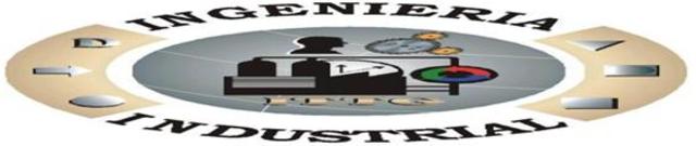 icual es la orientacion de la ngenieria  industrial