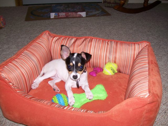 Khloe got her first bed