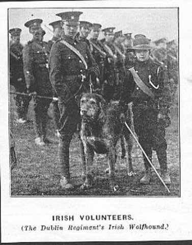 Irish Volunteers