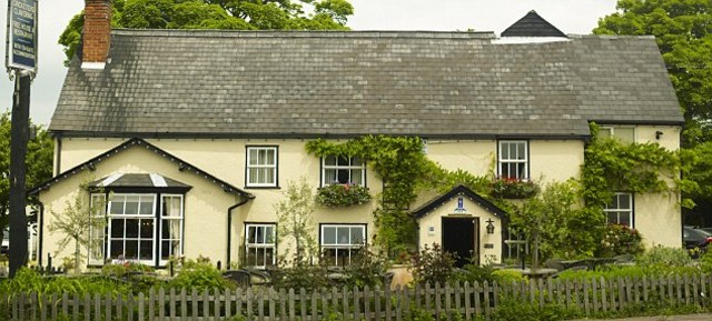 began working at his parents restaurant