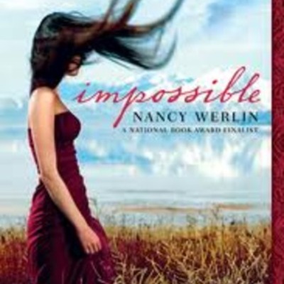 Timeline: Impossible, Nancy Werlin, Fantasy/ Fiction, 364 pages