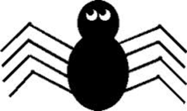 Chapter 8: Flies and Spiders