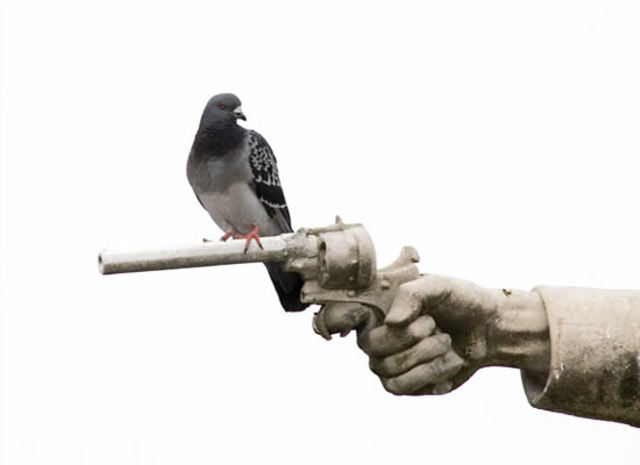 The Succession's war finally.