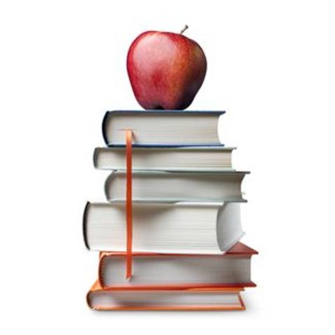 Bilingual Project under Partido Popular Democratico.