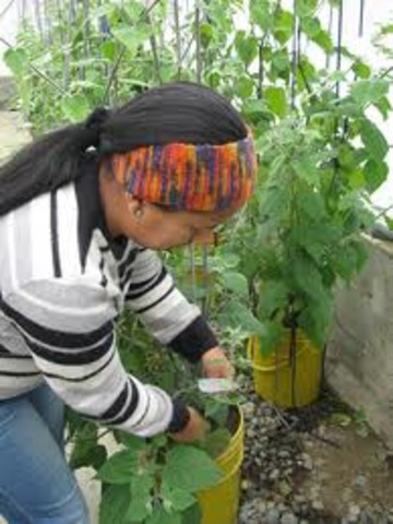 CREACION DE LA EMPRESA