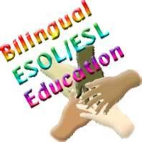 Spanish was established as the tool for teaching from First to Fourth grade and English was going to be used in half of the provided courses from fifth to twelfth grade.
