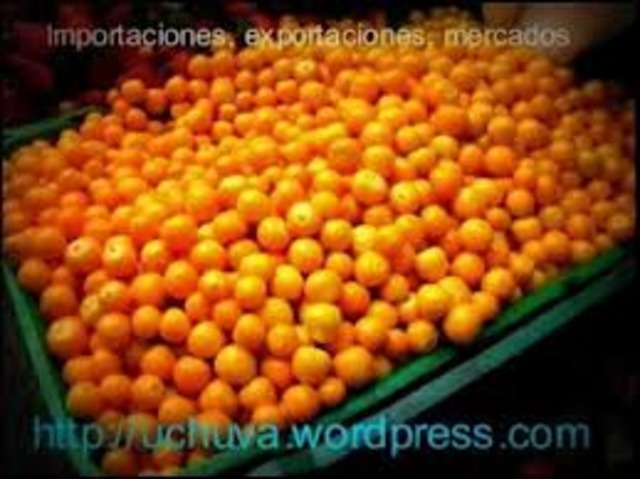 UCHUVA LISTA PARA EL EMPAQUE