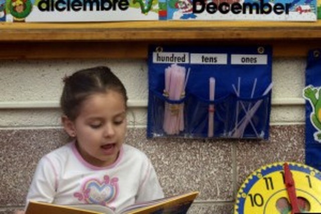 Fortuno bilingual initiatives