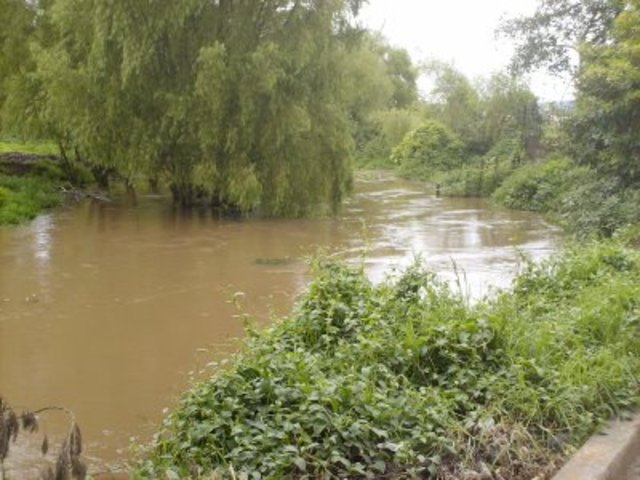 5.5 kilometros todavía hay peses, flora