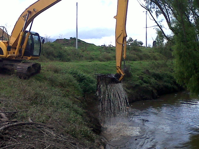 hay frascos de veneno y unas algas verdes que según algunos expertos solo se dan en aguas muy contaminadas.